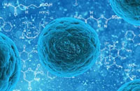 太阳集团tcy8722(中国)有限公司